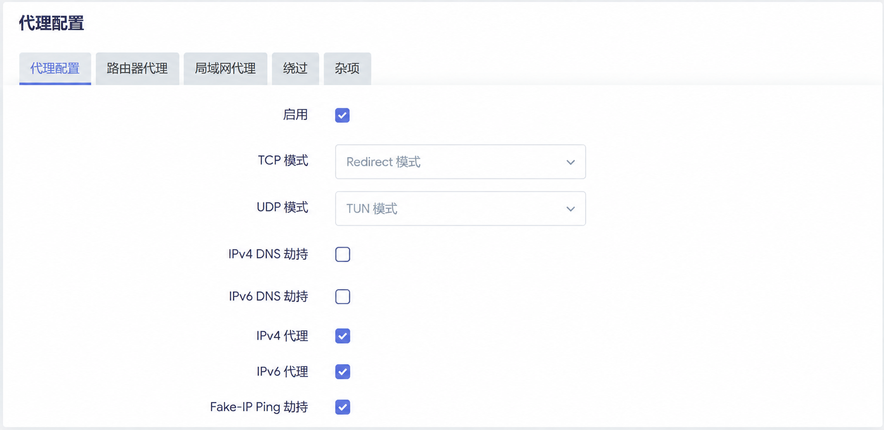Nikki 代理配置中 TCP、UDP、DNS 劫持与 IPv4/IPv6 代理选项